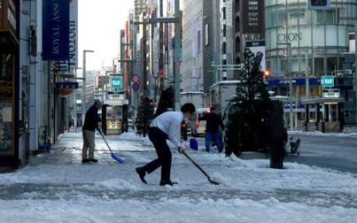 Tuyết rơi dày đặc khiến cuộc sống của người dân Tokyo hỗn loạn