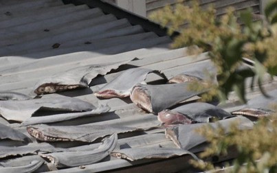 Vây cá mập phơi trên mái nhà ở sứ quán VN ở Chile "mua để sử dụng trong gia đình"