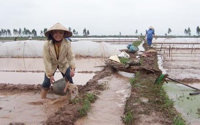 Các hồ thuỷ điện Hoà Bình, Thác Bà, Tuyên Quang xả hơn 4 tỉ m3 nước để nông dân sản xuất vụ Đông Xuân