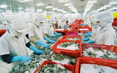 Sau sự cố thẻ vàng, xuất khẩu hải sản sang EU tăng trở lại