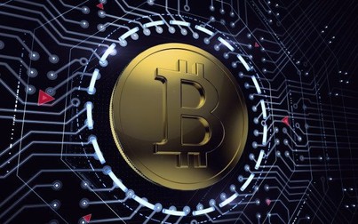 DavorCoin - bản sao Bitconnect sụp đổ khiến giá Bitcoin giảm gần 500 USD, khó tăng lại trong hôm nay