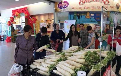 Saigon Co.op, Lotte Mart giúp nông dân giải cứu củ cải, su hào