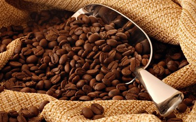 Giá cà phê tăng nhẹ 100.000 đồng/tấn sau hai ngày giảm mạnh