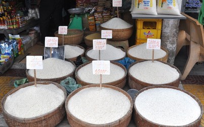 Giá lúa gạo tăng nhẹ trong tháng 5