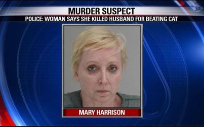 Bị vợ bắn chết vì cả gan "ăn hiếp" con...mèo