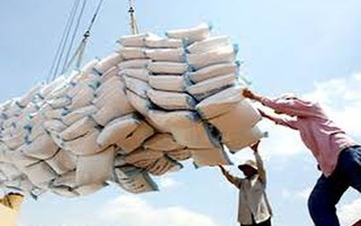 Xuất khẩu khởi sắc, giá lúa gạo trong nước tăng cao