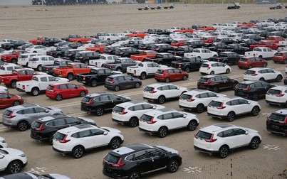 Bộ GTVT bác bỏ kiến nghị của doanh nghiệp nhập khẩu ô tô