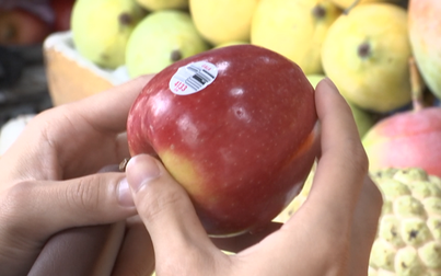 "Hô biến" táo Trung Quốc thành táo Mỹ để bán giá cao