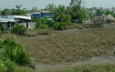 Hàng loạt dự án treo hơn 10 năm ở khu Nam Sài Gòn sẽ được chuyển đổi mục đích sử dụng đất