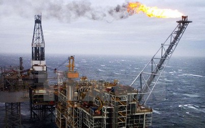 Xăng dầu "neo" giá trước thềm hội nghị OPEC