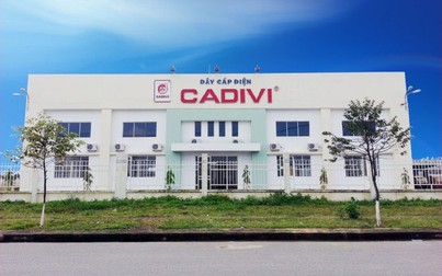 Công ty Cadivi bị truy thu và phạt vi phạm thuế hơn 5,5 tỷ đồng