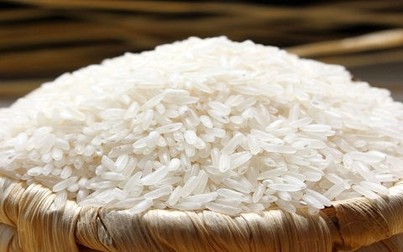Giá lúa gạo tăng từ 100 - 500 đồng/kg trong 6 tháng đầu năm