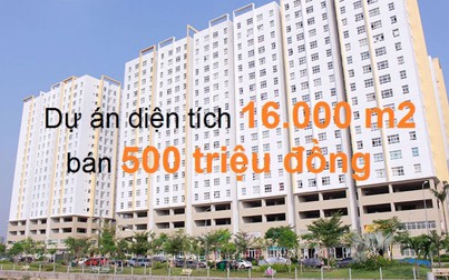 Những con số ấn tượng trong tuần: Chuyển nhượng chung cư 16.000 m2 giá 500 triệu đồng!
