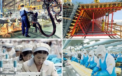Nhật Bản muốn tiếp nhận thêm lao động nước ngoài