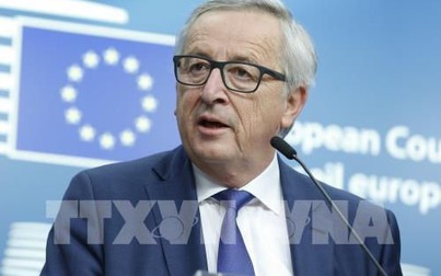 Giới chức châu Âu hoài nghi về triển vọng đàm phán thương mại với Mỹ