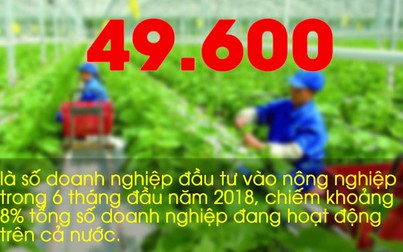 Những con số ấn tượng trong tuần: 49.600 doanh nghiệp đầu tư vào nông nghiệp