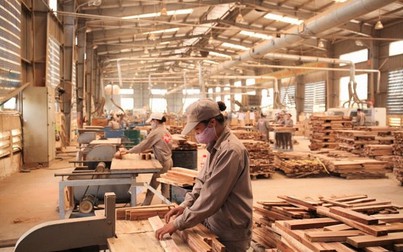 Ngành gỗ có thể vượt 9 tỷ USD trị giá xuất khẩu trong năm nay