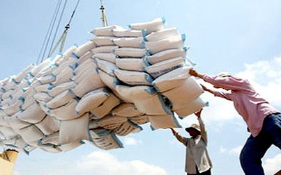Vinafood 2 đạt thỏa thuận hợp đồng xuất khẩu gạo gần 1 tỷ USD vào Philippines