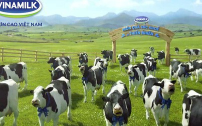 F&N Dairy Investments tiếp tục đăng ký mua gần 18 triệu cổ phiếu Vinamilk