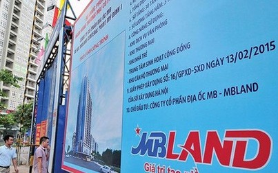 Trước thềm đầu giá MBLand Holdings, “sếp lớn” TNT xin thôi đảm nhiệm chức vụ