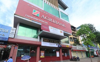 “Việc phá sản ALCII không ảnh hưởng đến hoạt động của Agribank cũng như tiền gửi của khách hàng”