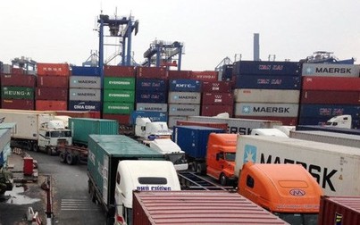 50 container hải sản ách tắc tại cảng, doanh nghiệp kêu cứu