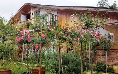 Ngôi nhà hoa hồng rộng 4.000 m2 tuyệt đẹp ở Đà Lạt