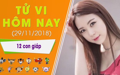 Tử vi hôm nay 29/11 của 12 con giáp: Tý may mắn, Dần gặp vận xui về tiền bạc