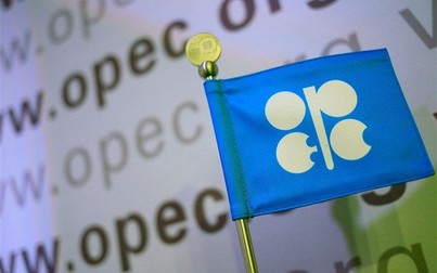 OPEC nhất trí cắt giảm sản lượng dầu, chưa công bố mức cụ thể