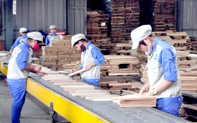 Các doanh nghiệp ngành gỗ muốn biến Việt Nam thành trung tâm nội thất thế giới
