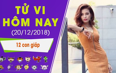 Tử vi hôm nay 20/12 của 12 con giáp: Sửu gặp quý nhân, Ngọ tình cảm thăng hoa