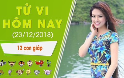 Tử vi hôm nay 23/12/2018 của 12 con giáp: Tý may mắn, Dần gặp chướng ngại trong công việc