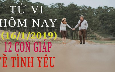 Tử vi hôm nay 16/1/2019 về tình yêu của 12 con giáp: Mùi bẽ bàng, Tý thích chinh phục