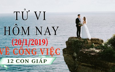 Tử vi hôm nay 20/1/2019 về công việc của 12 con giáp: Tỵ gặp tiểu nhân, Thân tăng tốc kiếm tiền