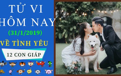 Tử vi hôm nay 31/1/2019 về tình yêu của 12 con giáp: Sửu ghen khủng khiếp, Dần gương vỡ lại lành