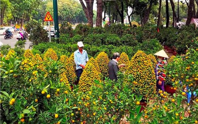Chợ hoa Tết lớn nhất Sài Gòn nhộn nhịp ngày cuối năm