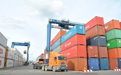 Lại ách tắc cá ngừ nguyên liệu tại cảng, VASEP “cầu cứu” Bộ Nông nghiệp