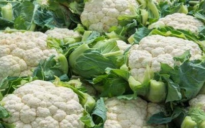 6 lợi ích của bông cải trắng và súp lơ trắng