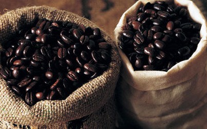Giá cà phê trong nước tăng 200.000 đồng/tấn