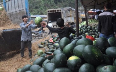 Xuất khẩu rau quả vào thị trường Trung Quốc sẽ khắt khe hơn