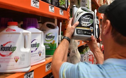Tòa án Mỹ kết luận thuốc diệt cỏ Roundup của Monsanto gây ung thư