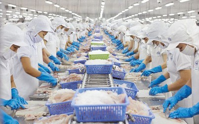 Xuất khẩu thủy hải sản: Trung Quốc không còn là thị trường dễ tính