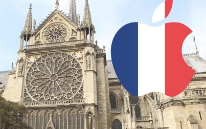 CEO Apple mở chiến dịch quyên góp để khôi phục nhà thờ Đức Bà Paris sau vụ hỏa hoạn