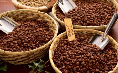 Giá cà phê giữ nguyên mức 31.300 đồng/kg