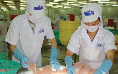 DOC công bố mức áp thuế cao đối với cá tra Việt Nam