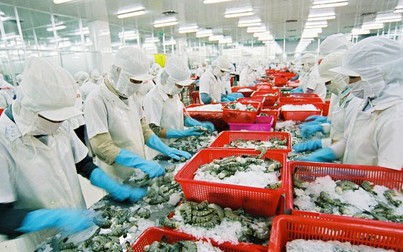ASEAN - thị trường xuất khẩu tiềm năng của tôm và cá tra Việt Nam
