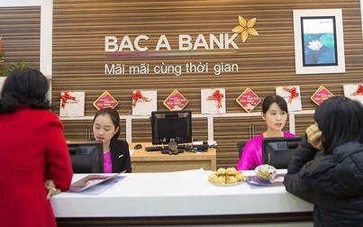 Cơ cấu sở hữu "ổn định" đến lạ ở Bac A Bank