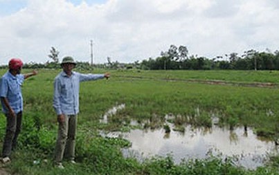 Đất lúa không giấy tờ vẫn rao bán tiền tỷ ở Đà Nẵng