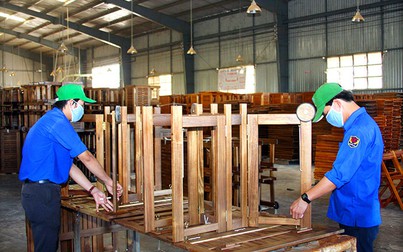 Thị trường gỗ và sản phẩm gỗ: Xuất khẩu gỗ tăng gần 20%