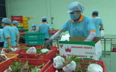 New Zealand hỗ trợ nâng giá trị trái thanh long Việt Nam